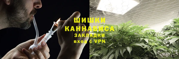 гашик Бородино