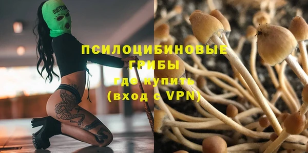 каннабис Новозыбков