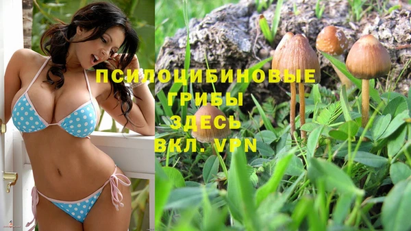 каннабис Алексин