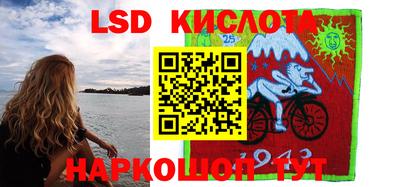 стаф Будённовск