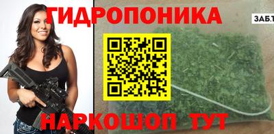 стаф Будённовск