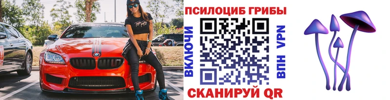 Псилоцибиновые грибы мухоморы Павлово