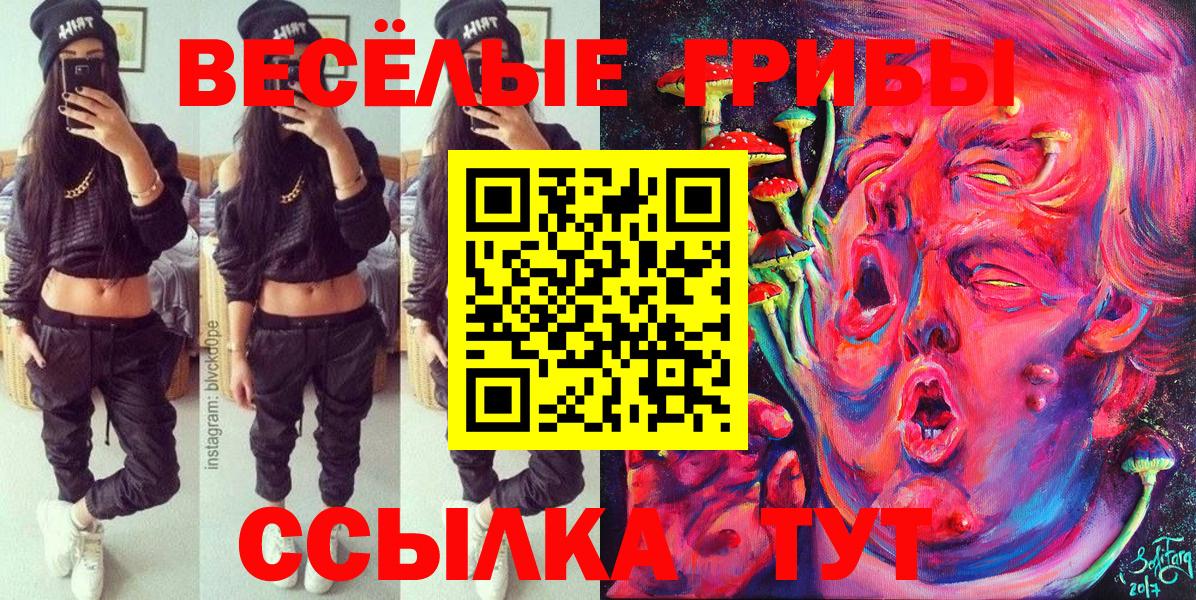 Псилоцибиновые грибы Psilocybe  Павлово 