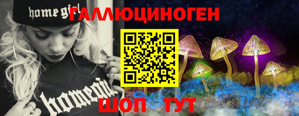 Псилоцибиновые грибы Psilocybe  Псилоцибиновые грибы Cubensis  Вход с VPN  Павлово 