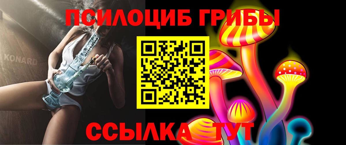 Галлюциногенные грибы Psilocybine cubensis Павлово