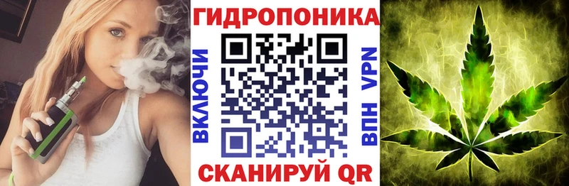 Бошки марихуана VHQ  где можно купить   Павлово 
